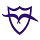马尔文女篮 Logo
