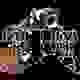 卡德里纳熊 Logo