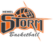 赫默风暴 Logo