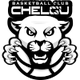 ChelGU库斯塔奈 Logo