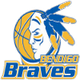 本迪戈勇士女篮 Logo