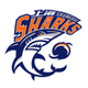 上海久事 Logo