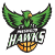 灵伍德老鹰女篮 Logo