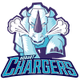 霍巴特电光女篮 Logo