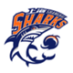 上海久事后备队 Logo