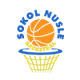 穆斯勒女篮 Logo