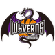 山形飞龙 Logo