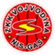 禾获甸拿女篮 Logo