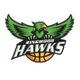 灵伍德老鹰 Logo
