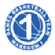 DS瓦勒海姆女篮 Logo