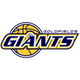 金矿巨人 Logo