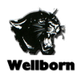 伟邦女篮 Logo