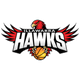 伊拉瓦拉沃拉塔鹰 Logo