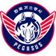大邱石油公社飞马二队 Logo