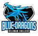 DC蓝龙 Logo