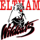 埃尔特姆野猫女篮 Logo