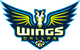 达拉斯飞翼 Logo