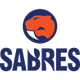 桑德林汉姆军刀女篮 Logo