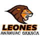 阿纳瓦克 Logo