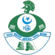 纳比桑萨女篮 Logo