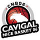 尼斯女篮 Logo
