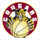 麦金农美洲狮女篮 Logo