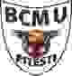 皮特斯蒂 Logo