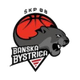 班斯卡比斯特里察女篮 Logo