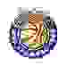 克拉列沃女篮 Logo