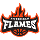 罗金厄姆火焰女篮 Logo