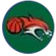 林斯女篮 Logo