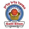 加利尔 Logo