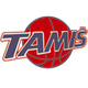 塔米斯 Logo