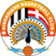 伯年队 Logo