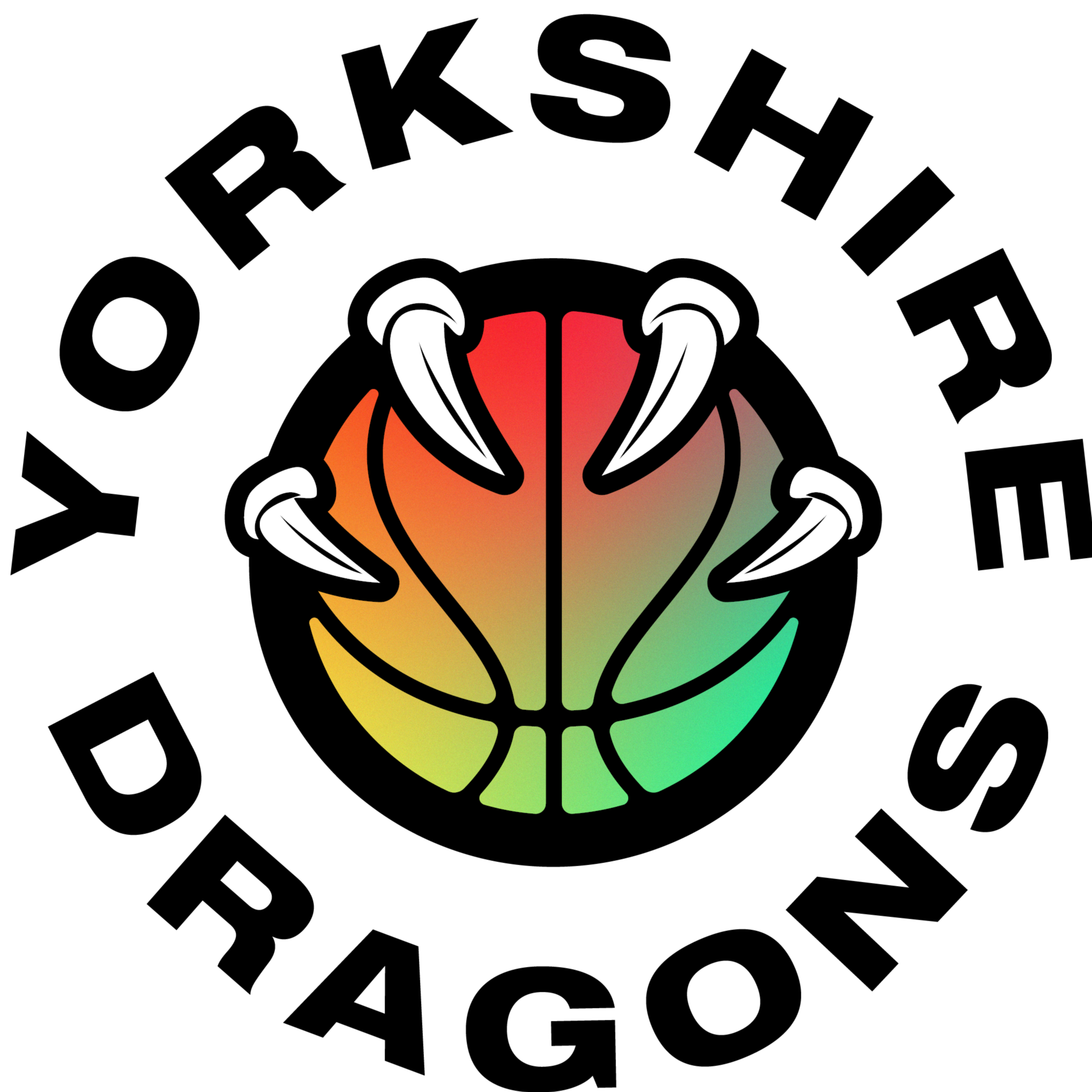 约克郡巨龙 Logo