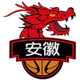 安徽皖江龙 Logo