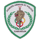 FAP女篮 Logo