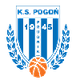 普鲁德尼克 Logo