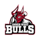 内西公牛女篮 Logo