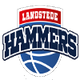 兹沃勒 Logo