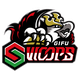 岐阜猛扑 Logo