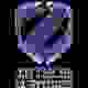 泽泰琦大学女篮 Logo