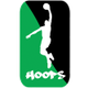 斯维尔弗堡 Logo