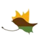 圣卡洛斯门多萨 Logo