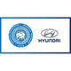 第比利斯现代TSU Logo