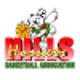 山丘黄蜂女篮 Logo