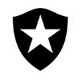 博塔福戈U19 Logo