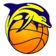 JKL海豚女士女篮 Logo