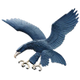雅典耀蓝鹰 Logo