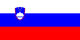 斯洛文尼亚女篮U17 Logo